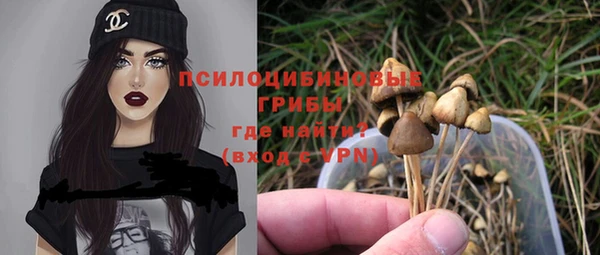 трава Нязепетровск