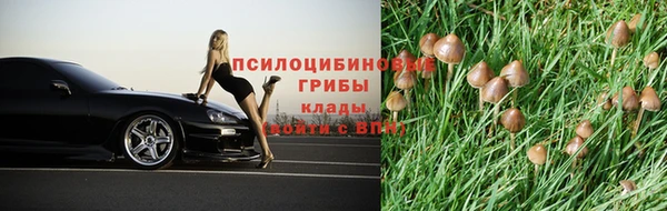 трава Нязепетровск